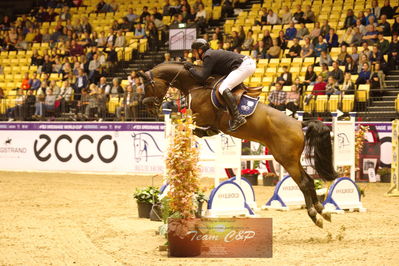 Showjumping
stutteri ask  gp 150cm
Nøgleord: guido jun klatte;asagan m