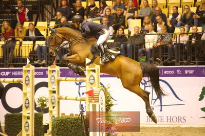Showjumping
stutteri ask  gp 150cm
Nøgleord: toshiki masui;jericho s