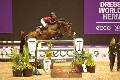 Showjumping
stutteri ask  gp 150cm
Nøgleord: irma karlsson;chacconu