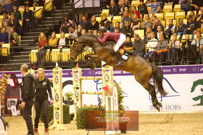 Showjumping
stutteri ask  gp 150cm
Nøgleord: irma karlsson;chacconu
