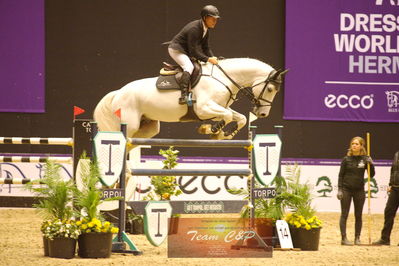 Showjumping
stutteri ask  gp 150cm
Nøgleord: rolf-goren bengtsson;emir r