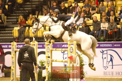 Showjumping
stutteri ask  gp 150cm
Nøgleord: bennedikte rie truelsen;cassina z