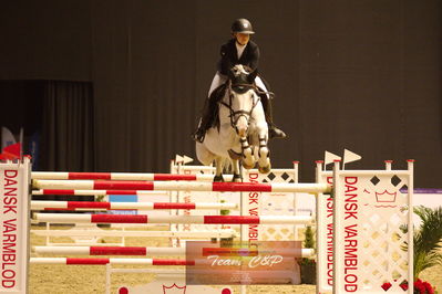 Showjumping
stutteri ask  gp 150cm
Nøgleord: bennedikte rie truelsen;cassina z