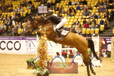 Showjumping
stutteri ask  gp 150cm
Nøgleord: zoe ostenhoff;chacenny