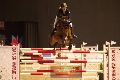 Showjumping
stutteri ask  gp 150cm
Nøgleord: zoe ostenhoff;chacenny