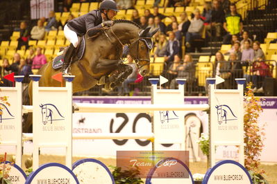 Showjumping
stutteri ask  gp 150cm
Nøgleord: patrick stühlmeyer;varihoka du temple