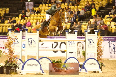 Showjumping
stutteri ask  gp 150cm
Nøgleord: harm lahde;oak grove&#039;s heartfelt