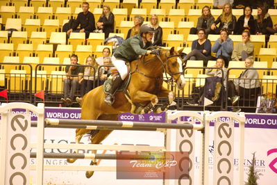 Showjumping
stutteri ask  gp 150cm
Nøgleord: harm lahde;oak grove&#039;s heartfelt