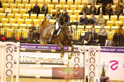 Showjumping
stutteri ask  gp 150cm
Nøgleord: søren møller rohde;todt un prince ask