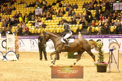 Showjumping
stutteri ask  gp 150cm
Nøgleord: søren møller rohde;todt un prince ask