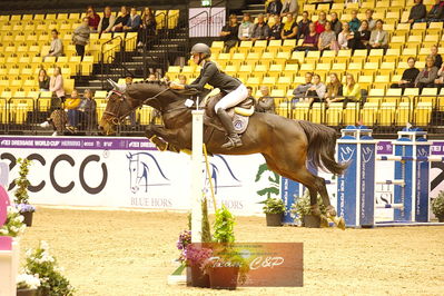 Showjumping
csi3 145cm
Nøgleord: karoline vistesen graversen;libertina