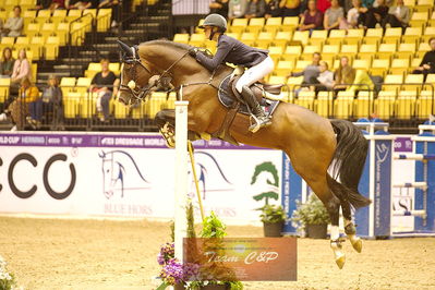 Showjumping
csi3 145cm
Nøgleord: justine tebbel;light star 4