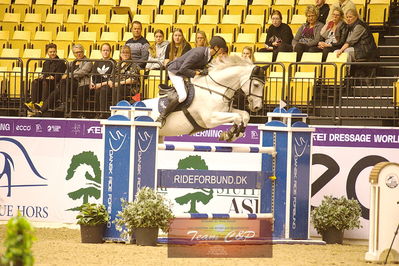 Showjumping
csi3 145cm
Nøgleord: simon heincke;qubo