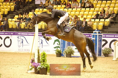 Showjumping
csi3 145cm
Nøgleord: nisse lüneburg;alina440