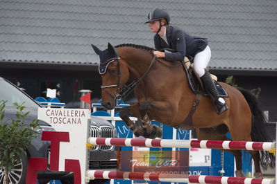 dm 2019
csi2 145cm int.
Nøgleord: anna persson;camelon