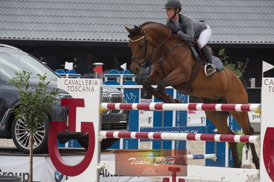 dm 2019
csi2 145cm int.
Nøgleord: veronika gylthe;vidsskue's jenni star