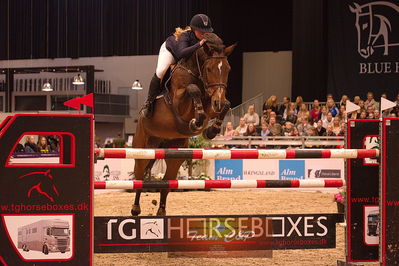 Showjumping
sci 140cm
Nøgleord: katrine ladefoged rasmussen;double profit
