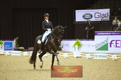 dressage
grandprix kür
Nøgleord: denise nekerman;boston sth