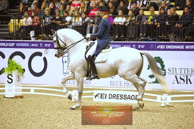 dressage
grandprix kür
Nøgleord: hans peter  minderhoud;glock's zansrdi
