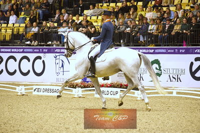 dressage
grandprix kür
Nøgleord: hans peter  minderhoud;glock's zansrdi