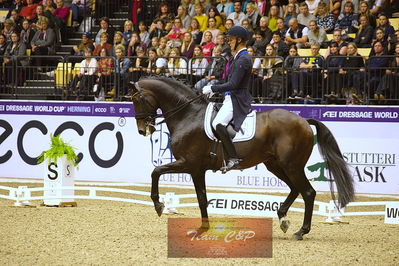 dressage
grandprix kür
Nøgleord: daniel bachmann andersen;blue hors zack