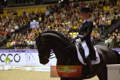 dressage
grandprix kür
Nøgleord: benjamin werndi;daily  mirror 9