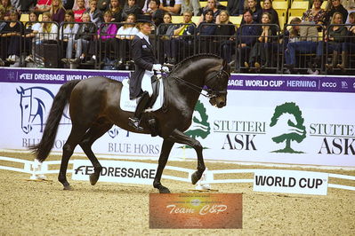 dressage
grandprix kür
Nøgleord: damsey frh;helen langehanenberg