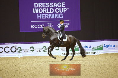 dressage
grandprix kür
Nøgleord: damsey frh;helen langehanenberg