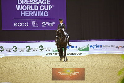 dressage
grandprix kür
Nøgleord: damsey frh;helen langehanenberg