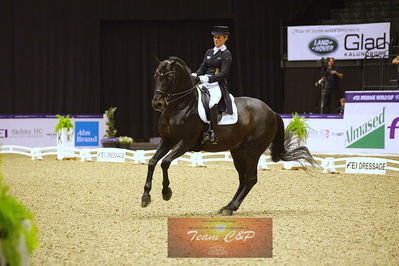 dressage
grandprix kür
Nøgleord: damsey frh;helen langehanenberg