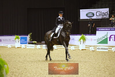 dressage
grandprix kür
Nøgleord: damsey frh;helen langehanenberg