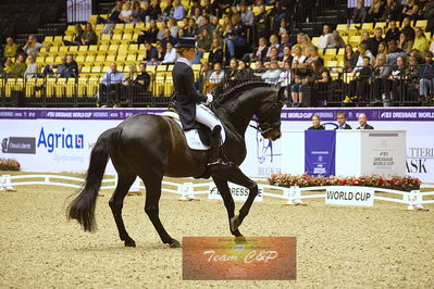 dressage
grandprix kür
Nøgleord: damsey frh;helen langehanenberg