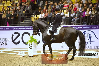 dressage
grandprix kür
Nøgleord: damsey frh;helen langehanenberg