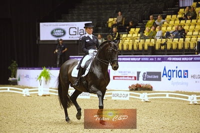 dressage
grandprix kür
Nøgleord: damsey frh;helen langehanenberg