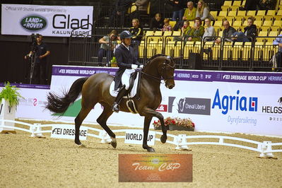 dressage
grandprix kür
Nøgleord: severo jurado lopez;fiontini