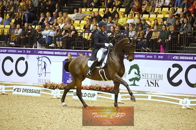 dressage
grandprix kür
Nøgleord: severo jurado lopez;fiontini