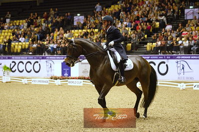 dressage
grandprix kür
Nøgleord: severo jurado lopez;fiontini