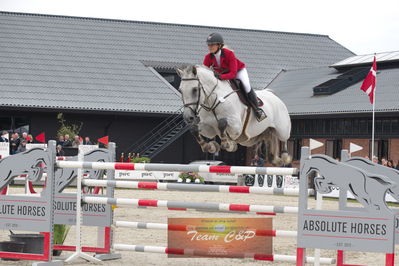 Dm Spring
finale Senior 150/160cm
Nøgleord: tina lund;carolla