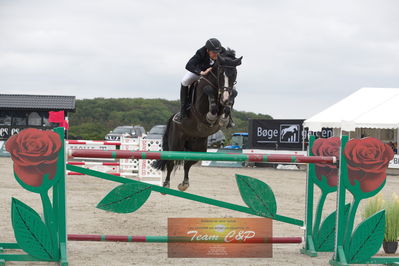 Dm Spring
finale Senior 150/160cm
Nøgleord: thomas sandgaard;amarone