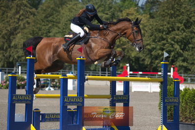 B springstævne Vilhelmsborg s2 150cm
Nøgleord: caroline refhoff pedersen;rubens de laume