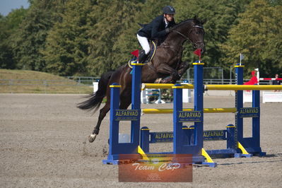 B springstævne Vilhelmsborg s2 150cm
Nøgleord: dennis steffenauer;boy-s