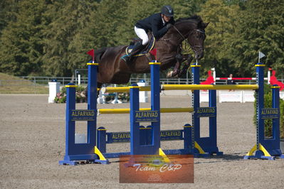 B springstævne Vilhelmsborg s2 150cm
Nøgleord: dennis steffenauer;boy-s