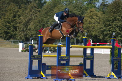 B springstævne Vilhelmsborg s2 150cm
Nøgleord: kamilla grauff albrektsen;hattrick