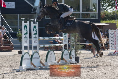 Dansk Rideforbunds Championats kvalifikation 5 års på vilhelmsborg
Nøgleord: aistis vitkauskas;calimero w