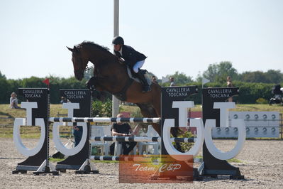 Dansk Rideforbunds Championats kvalifikation 5 års på vilhelmsborg
Nøgleord: peter thorup;fair frej