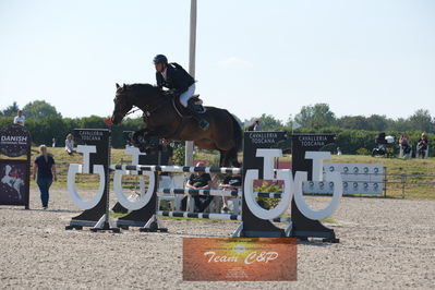 Dansk Rideforbunds Championats kvalifikation 5 års på vilhelmsborg
Nøgleord: mikkel friedrich;unity f