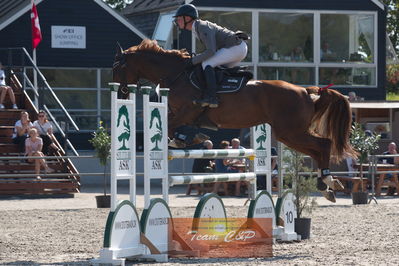 Dansk Rideforbunds Championats kvalifikation 5 års på vilhelmsborg
Nøgleord: martin mose knudsen;joy