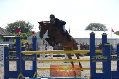 Dansk Rideforbunds Championats kvalifikation 5 års på vilhelmsborg
Nøgleord: morten bennetsen;mb champagne