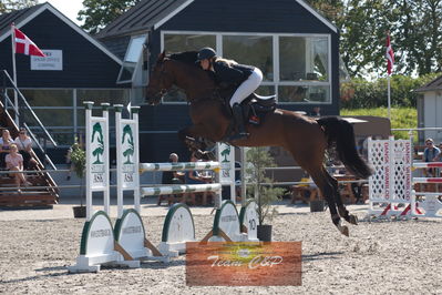 Dansk Rideforbunds Championats kvalifikation 5 års på vilhelmsborg
Nøgleord: tina lund;carlsson