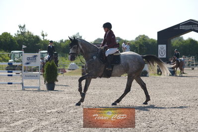 Dansk Rideforbunds Championats kvalifikation 5 års på vilhelmsborg
Nøgleord: lone marie oeglen;jadeblue citty c